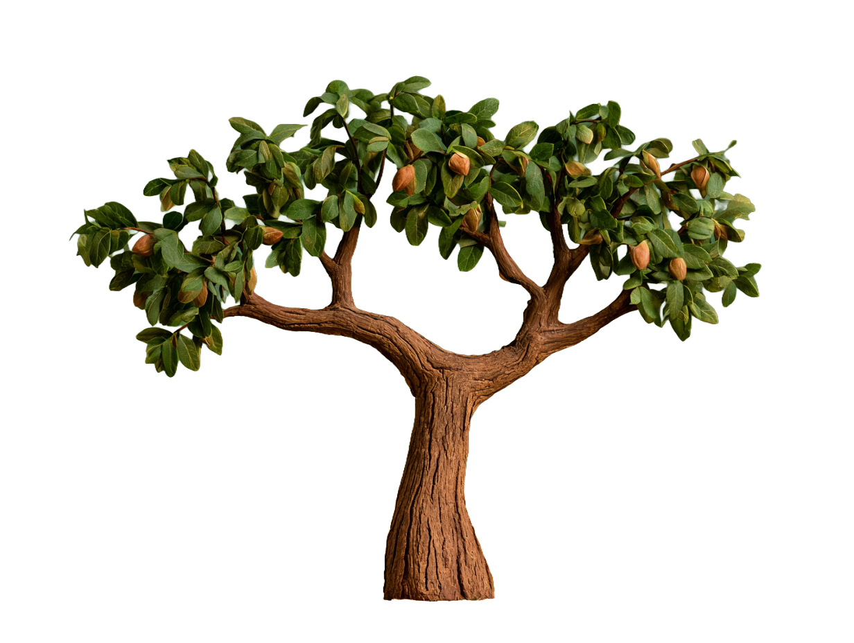 Pecan tree